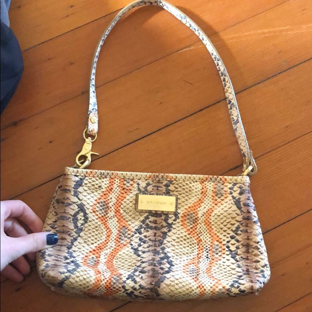Authentic Brahmin multicolored snakeskin purse